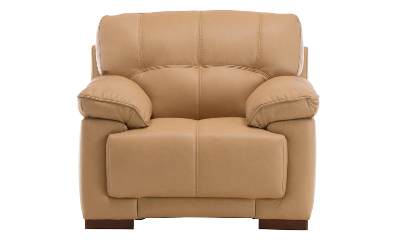 Otto Leather Chair